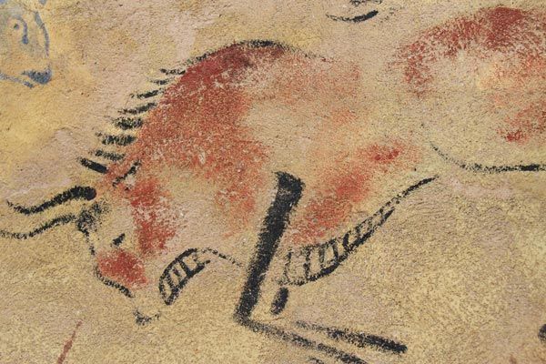 Rinoceronte de Atapuerca. Foto de Javier Peláez (Flickr, Licencia CC)