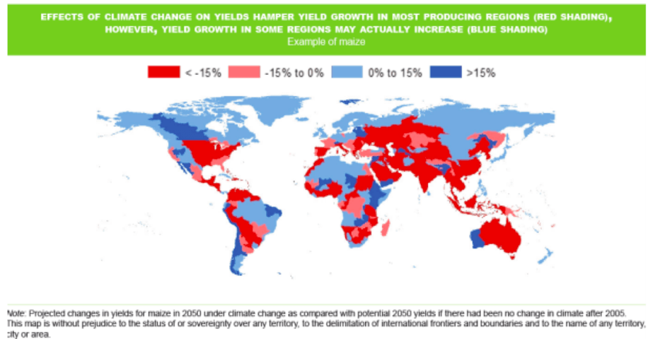 Figura 1. Efectos del Cambio Climático sobre los rendimientos de cultivo 
